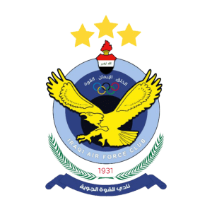 القوة الجوية